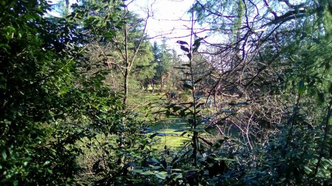 12509297_1086954254662233_5422704649954434792_n