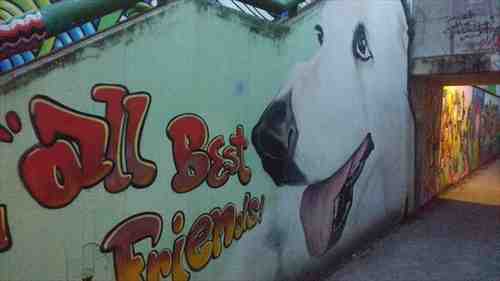 0d252749-7e0e-4d90-b7ec-cb97df462164_l