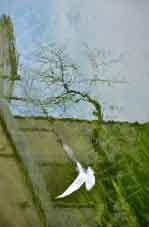 2-Acqua,luce,movimento